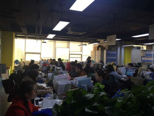 專業(yè)商務(wù)談判口譯，譯銘翻譯 為企業(yè)國際化進程注入精準(zhǔn)溝通動力